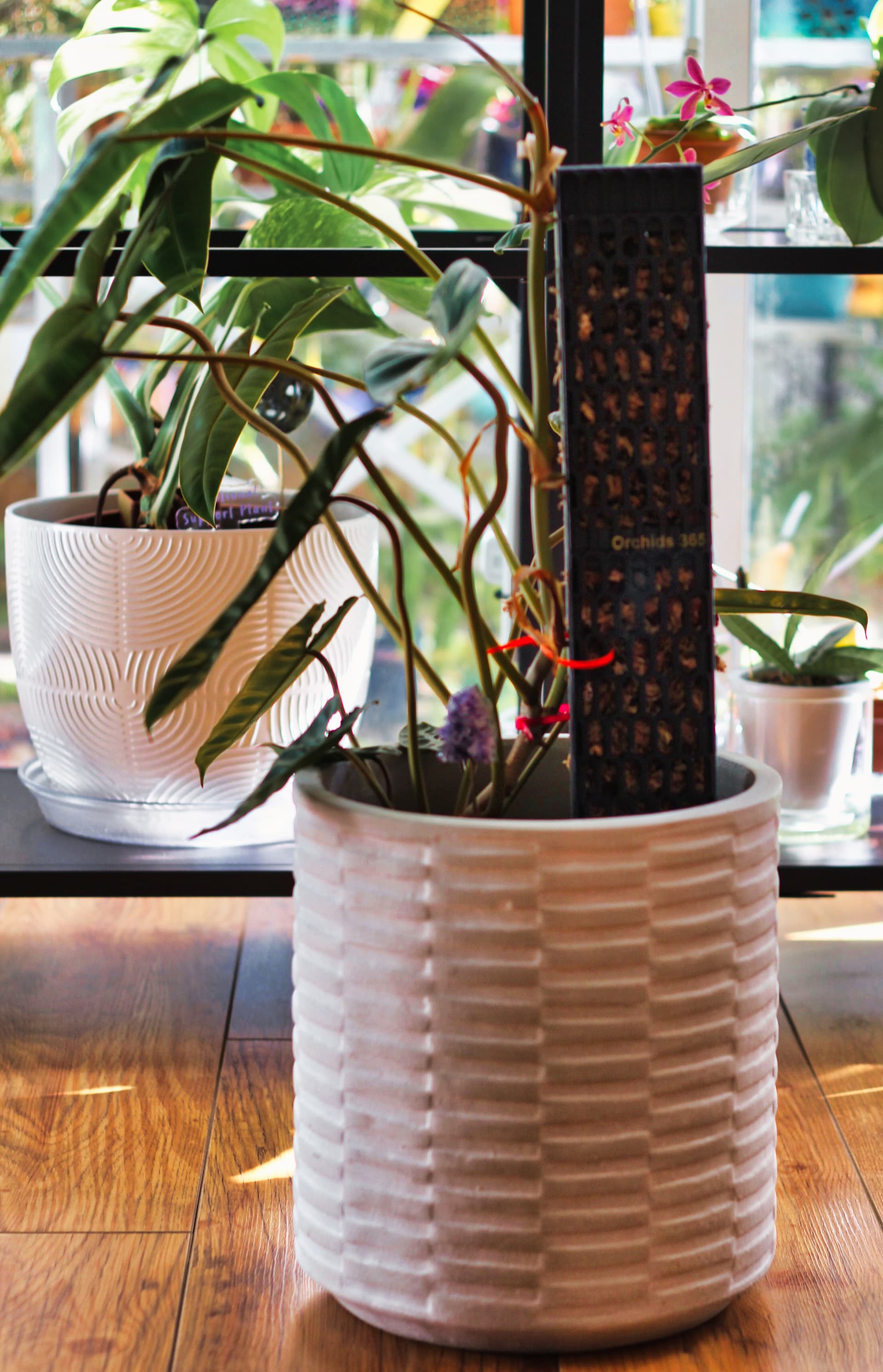 Shop Moss Poles & Accessories